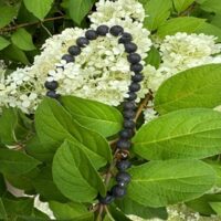 Women's Qi Wave Micro Acupuncture Necklace