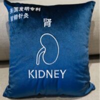 Qi Wave Kidney Cushion