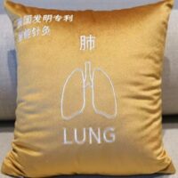 Qi Wave Lung Cushion