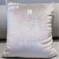 Qi Wave Spleen Cushion